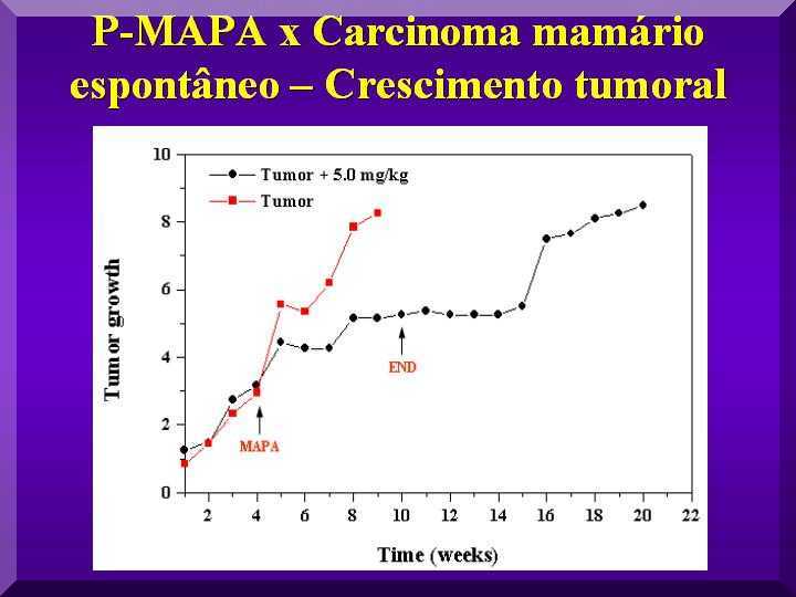 3spcancercinomamamariocrescimentotumoral